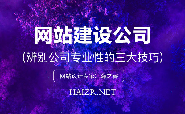 辨別網(wǎng)站建設(shè)公司實(shí)力的三大標(biāo)準(zhǔn)